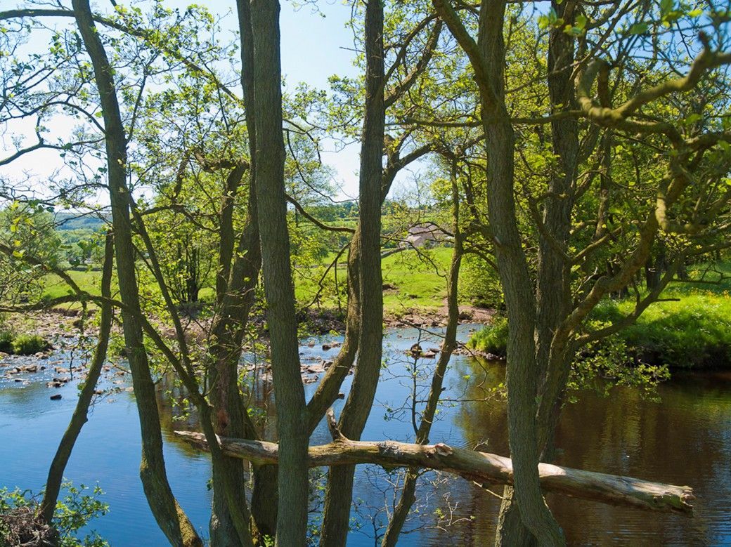 River Nidd