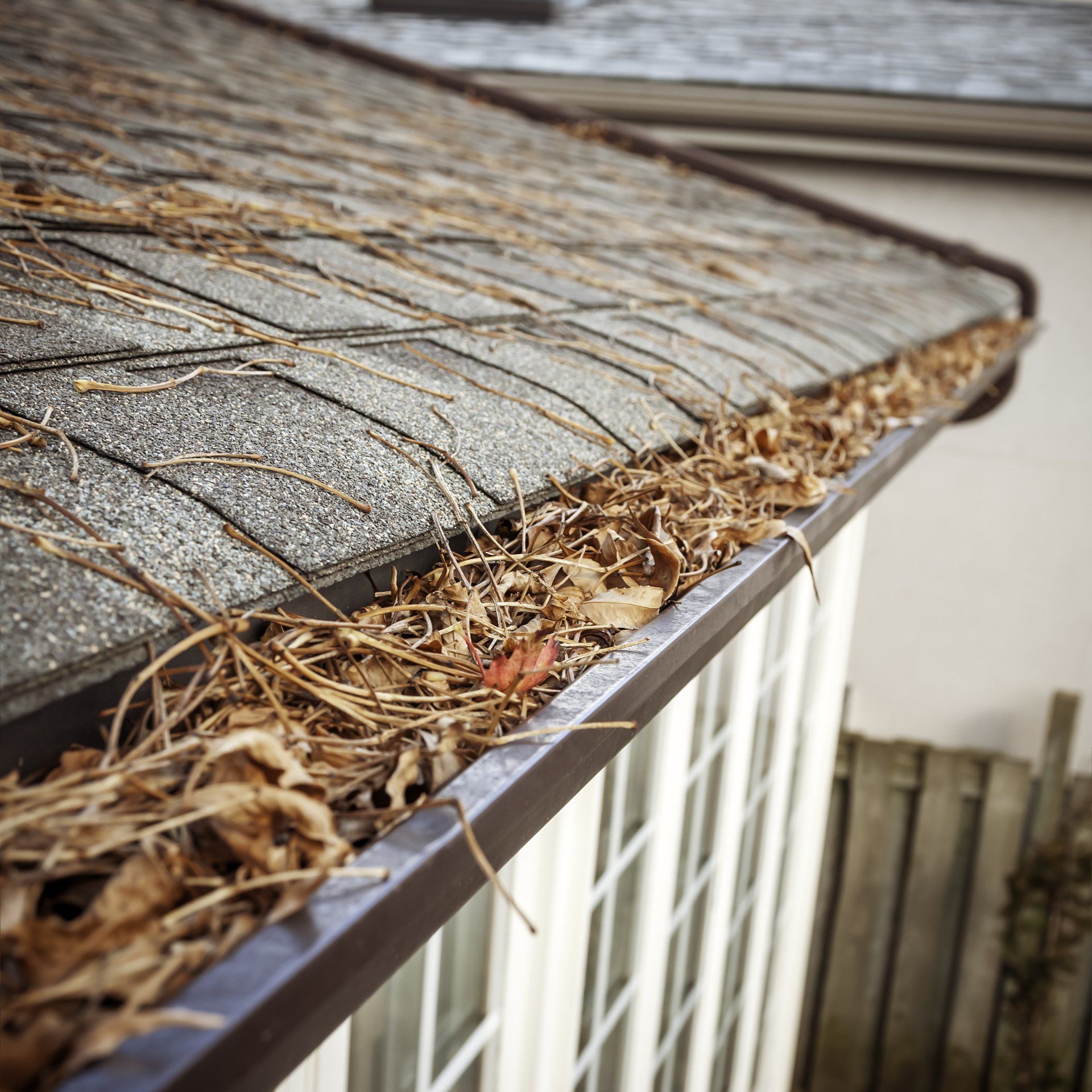 Gutter Cleaning — Tomball, TX — Scrub Daddy Pressure Wash