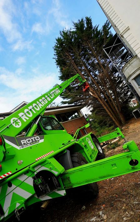 A man is standing on a ladder hedge trimming.