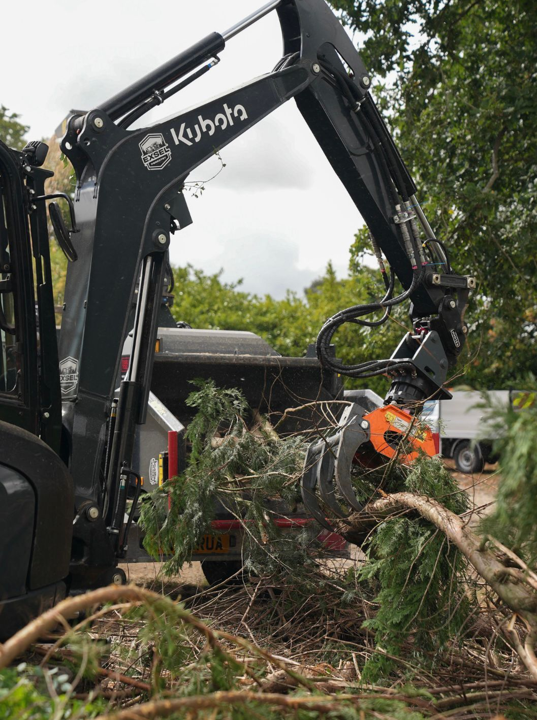 Tree surgery work in Winchester