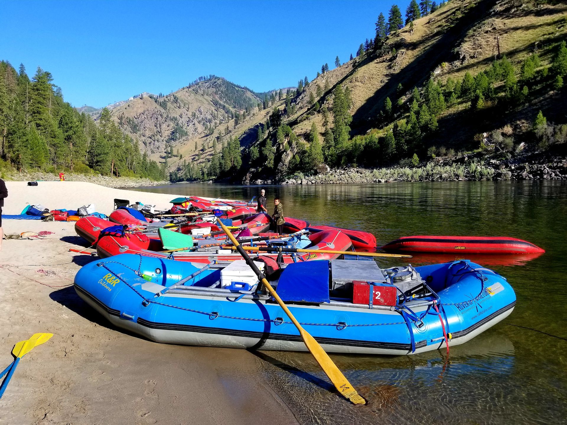 A row of rafts are lined up on the shore of a river