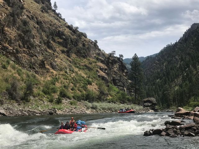 A group of people are rafting down a river.