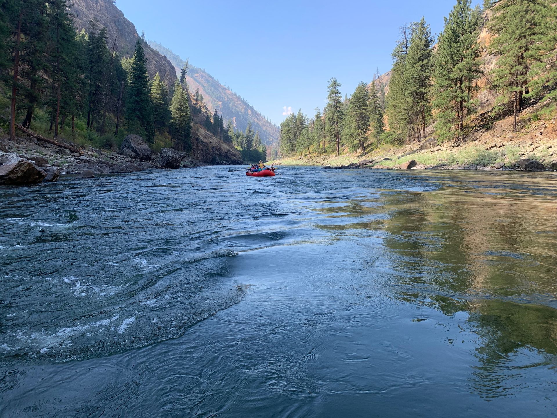 A person in a red kayak is floating down a river surrounded by trees.