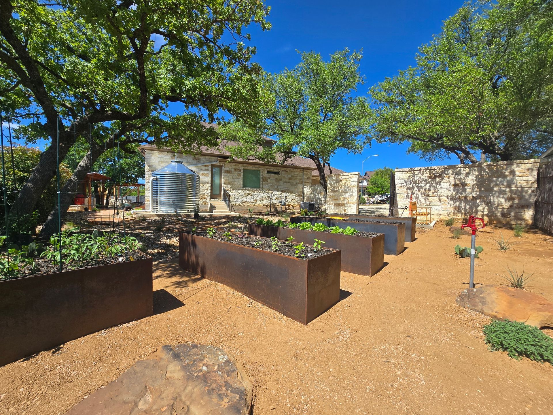 Sunny backyard garden with raised planter beds, a stone wall, and trees under a clear blue sky