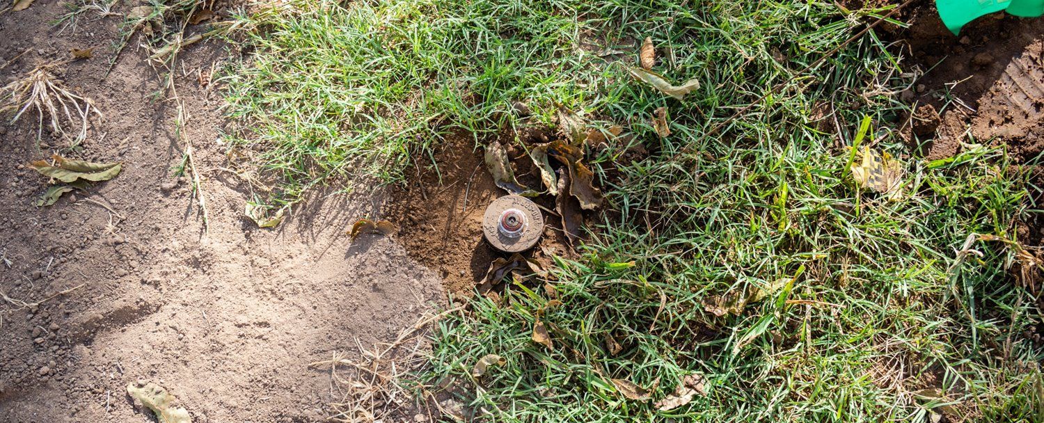 Freshly dug dirt around a small tree stump in grassy soil
