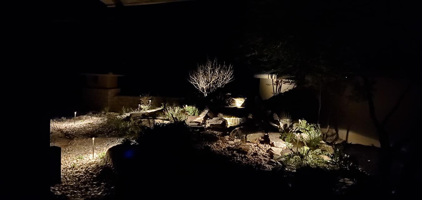 Dark outdoor garden at night with spotlit plants, a tree, and gravel path