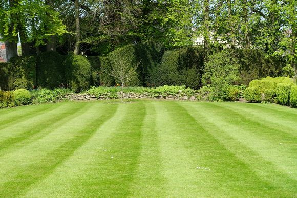 A person is using a lawn mower to cut the grass.