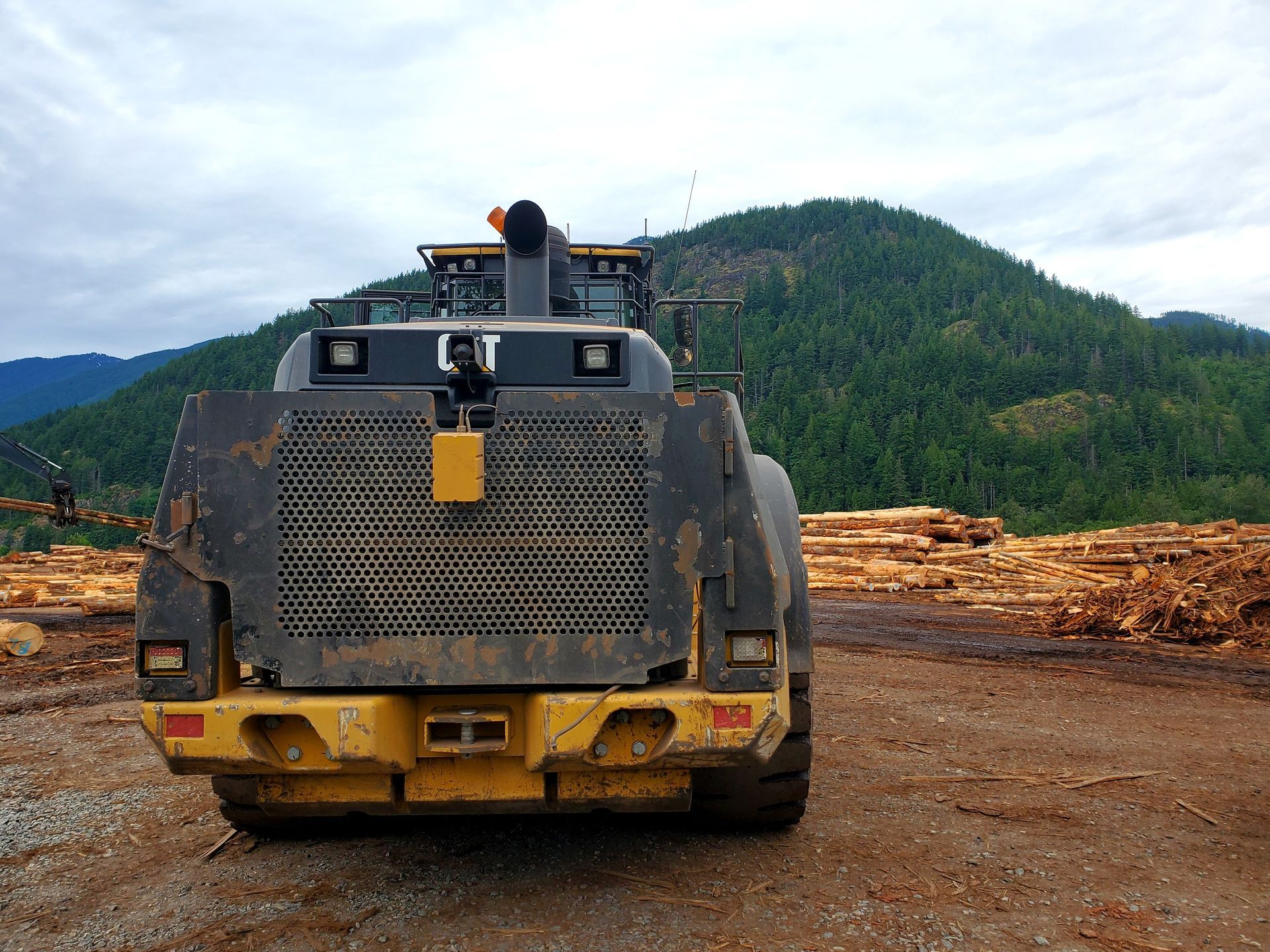 Yellow loader vehicle on dirt road in front of wood piles and a mountain covered in trees.