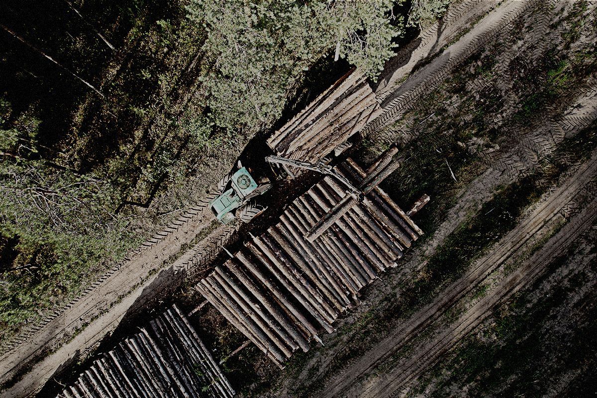 An aerial view of a truck carrying logs in a forest.