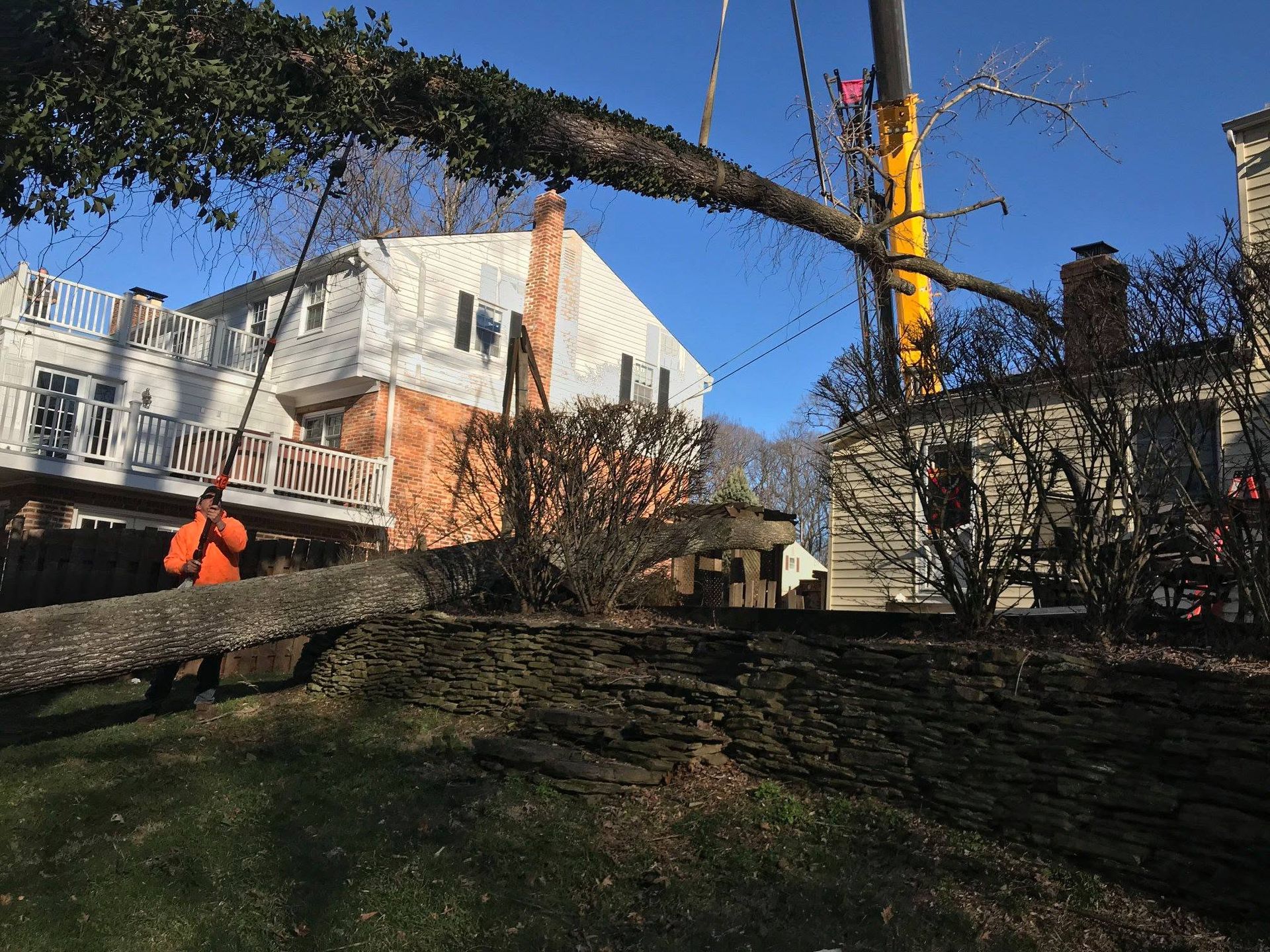 Tree removal work beside a white house, with a crane lifting a large fallen trunk across the yard