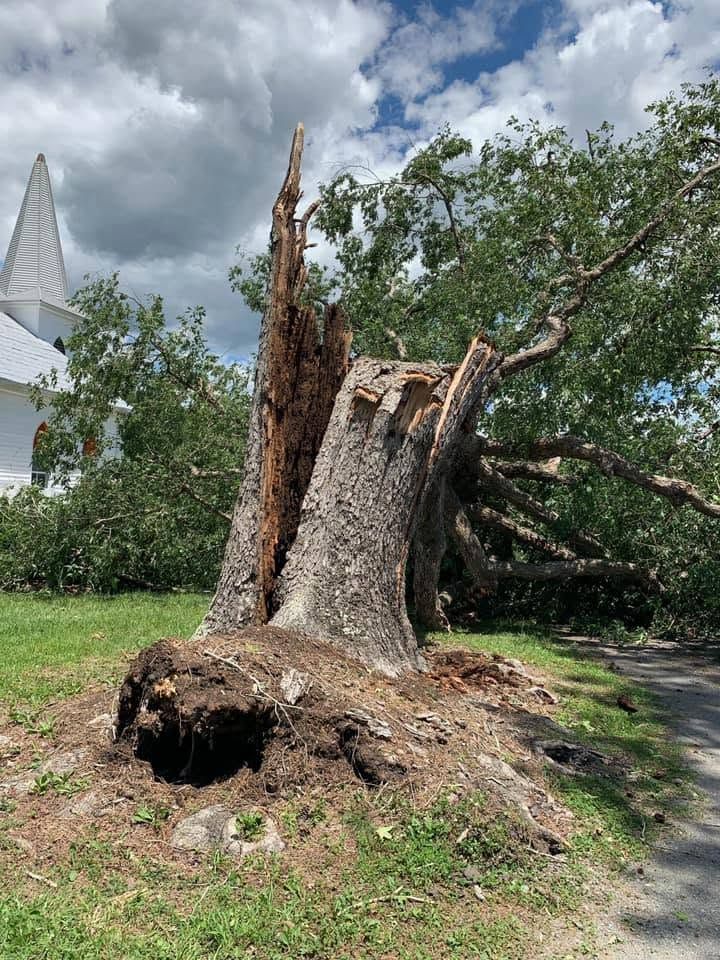 Broken tree stump beside a grassy path, with a white building and cloudy sky in the background