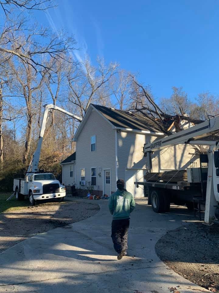 Worker in a bucket truck trims a large tree beside a house on a sunny day.