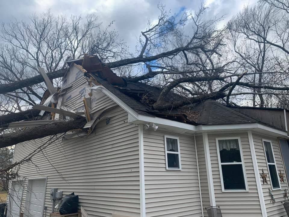 Large tree fallen on a beige house, damaging the roof under a cloudy sky
