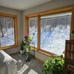 A bright room with large windows overlooking a snowy, tree-filled landscape, featuring indoor plants and part of a bed.