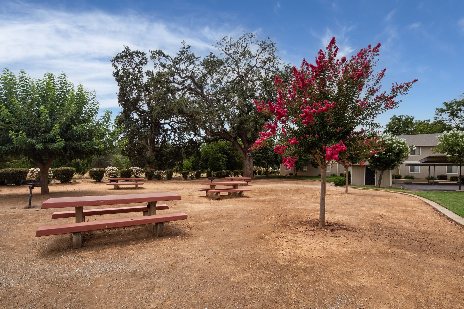 Picnic tables under trees in a park with a blooming red flower tree and blue sky.