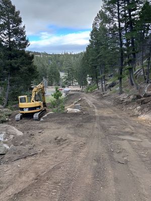 A yellow CAT excavator sits on a dirt path under construction, surrounded by a pine forest under a cloudy blue sky.