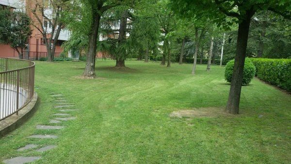 Parco dopo taglio erba
