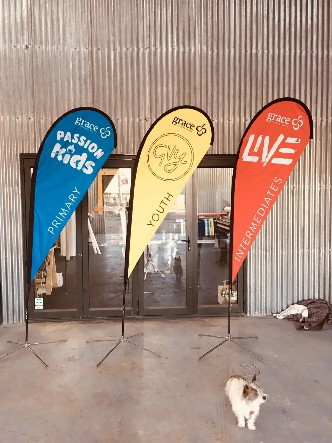 a dog standing in front of a building with flags for grace passion kids youth and live