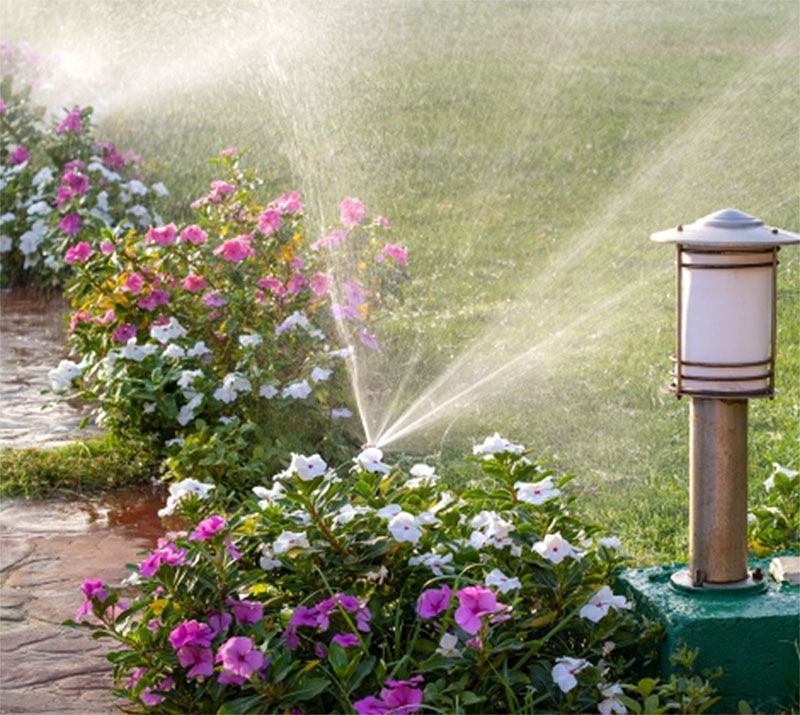 A sprinkler is spraying water on flowers in a garden