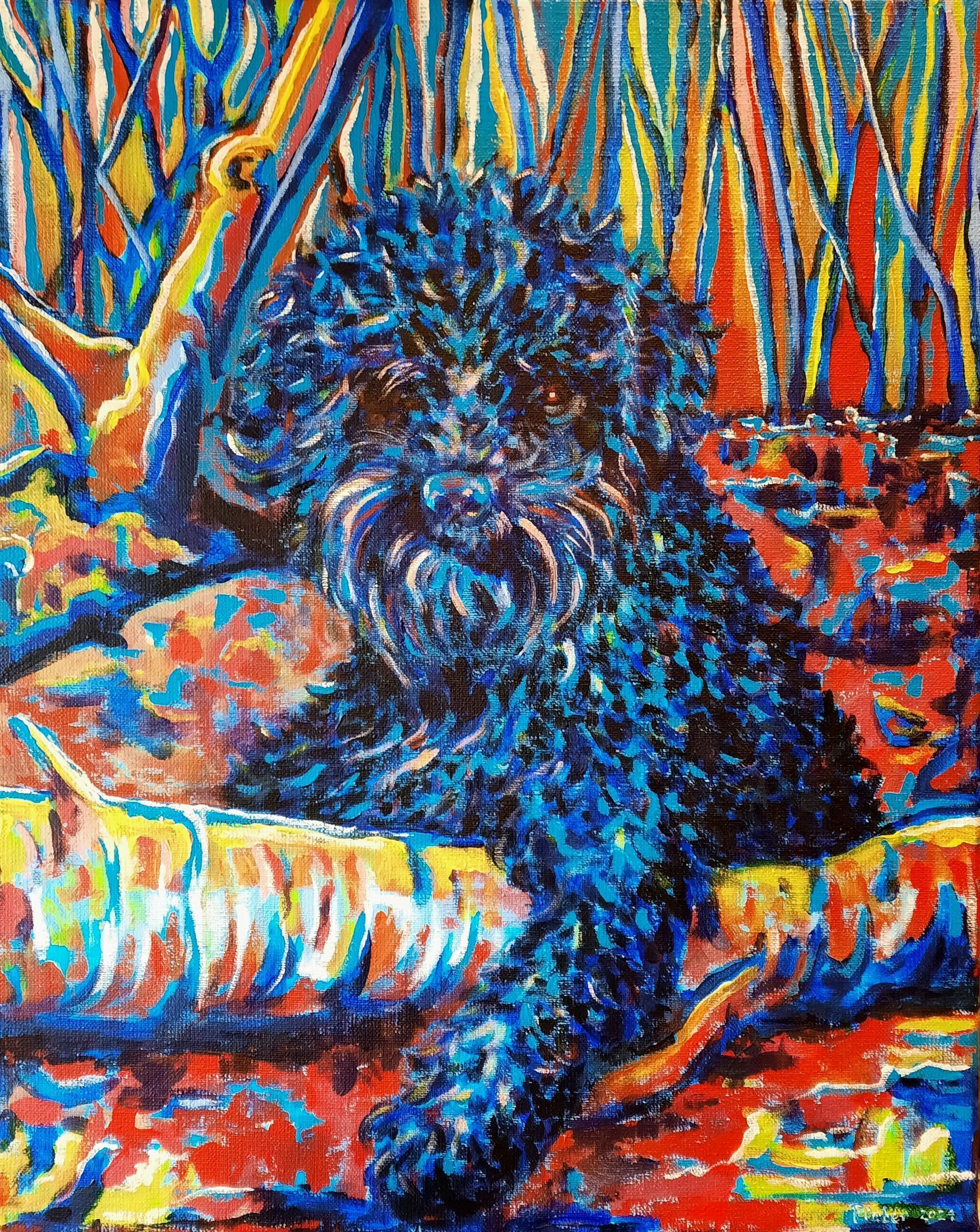 Hond, kleuren opdracht portret dieren