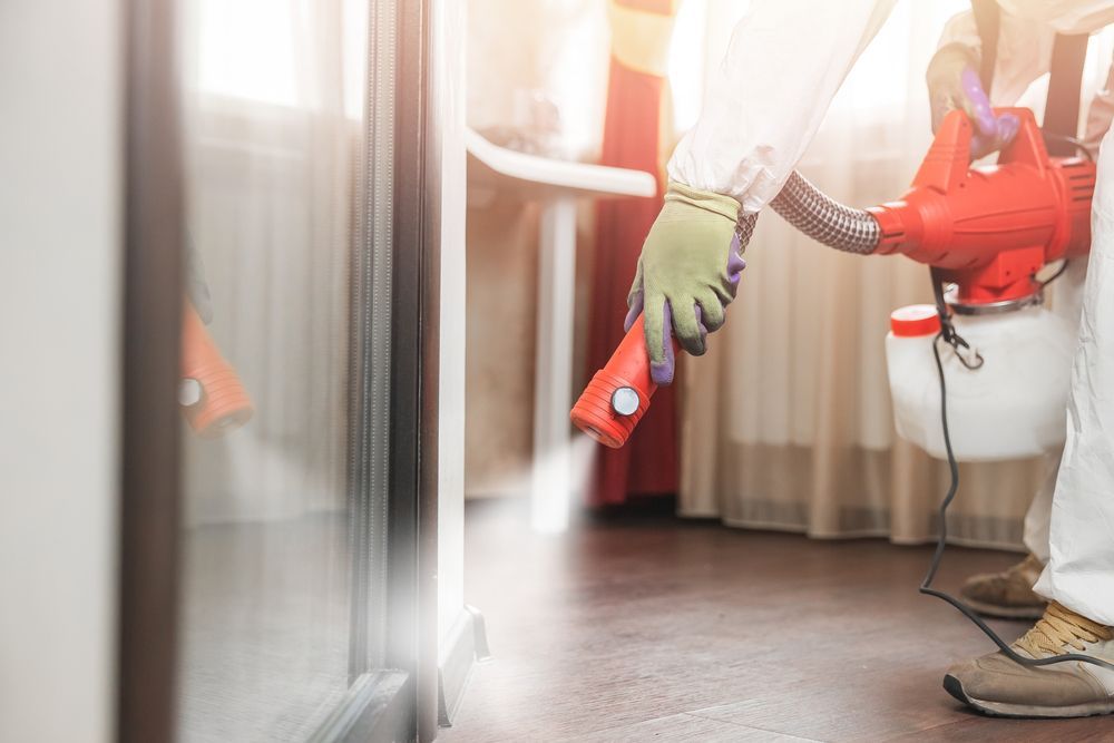 Person in Protective Suit Sanitizing a Room — Optimum Pest Services In Edge Hill, QLD