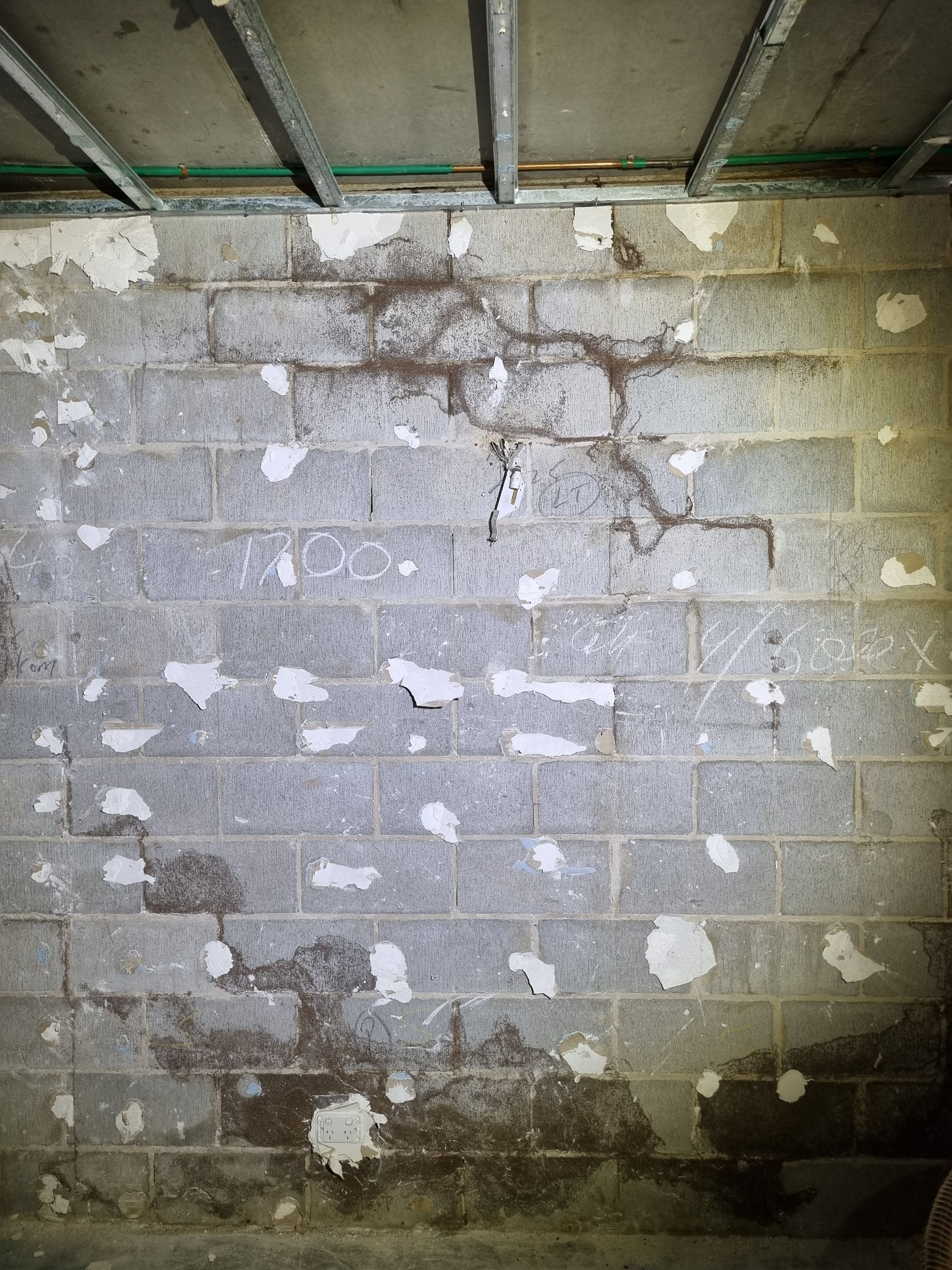 A Brick Wall With a Lot of White Spots on It — Optimum Pest Services In Edge Hill, QLD