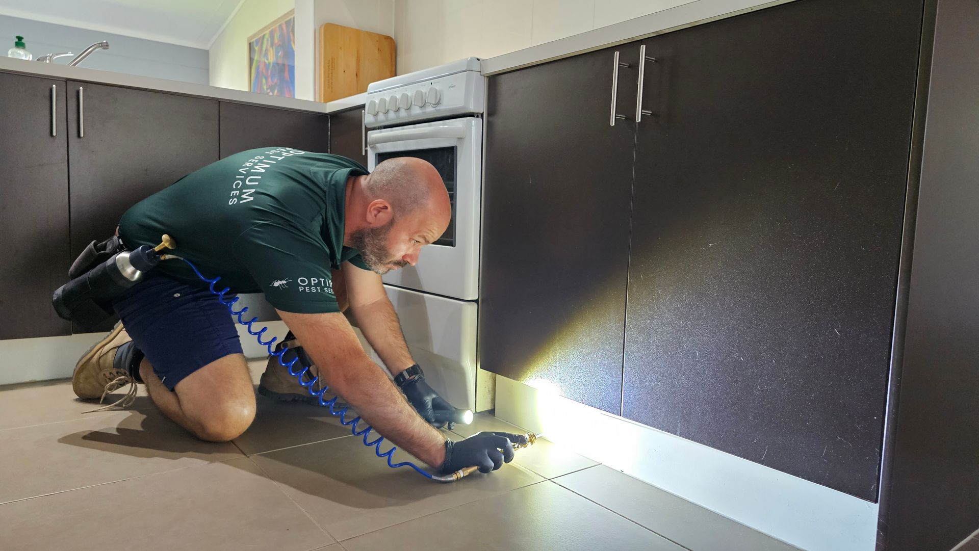 Man Spraying Pesticide on Pest Infested Steps — Optimum Pest Services In Stratford, QLD