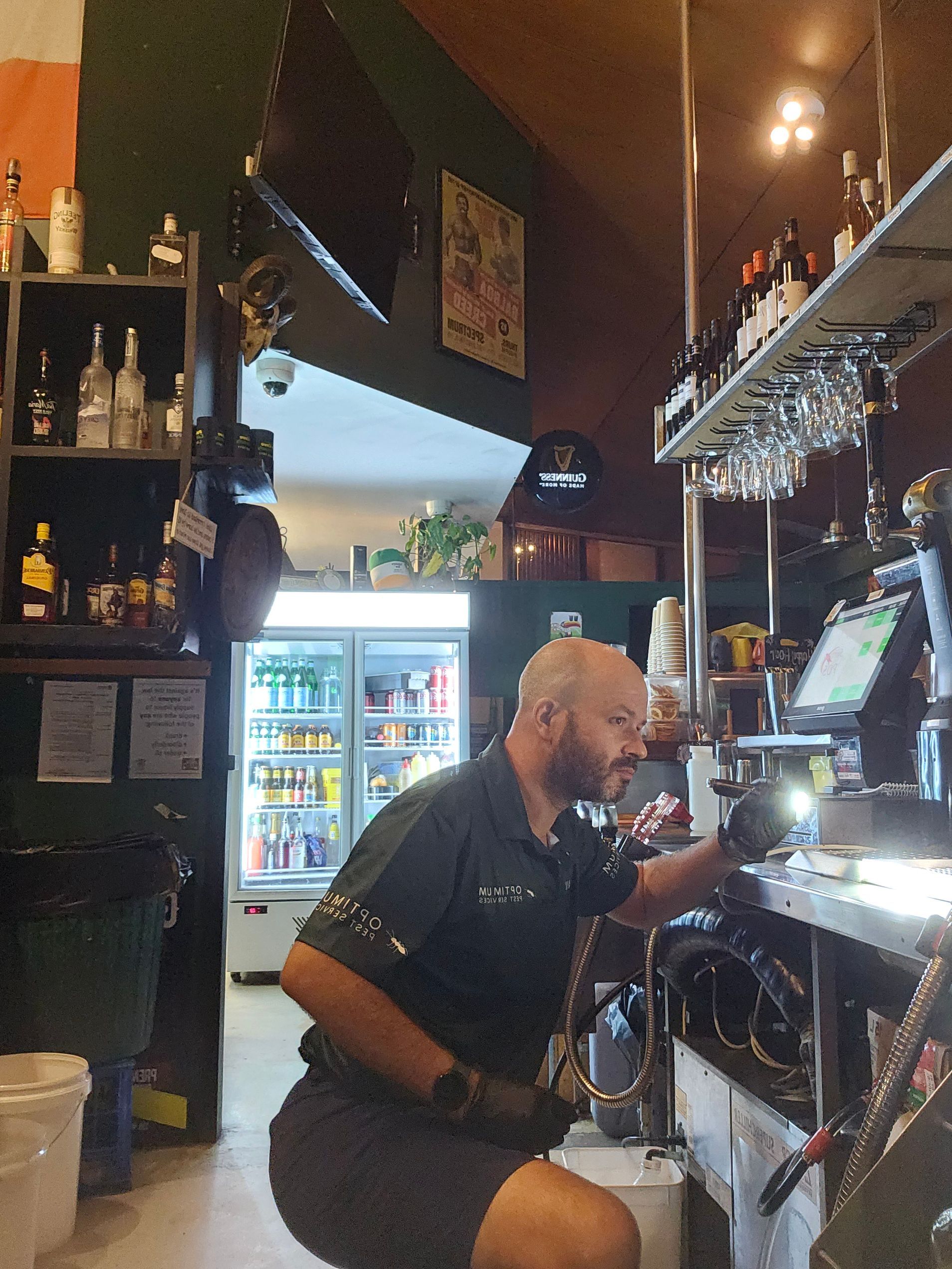 Checking for pests in commercial property — Optimum Pest Services In Edge Hill, QLD