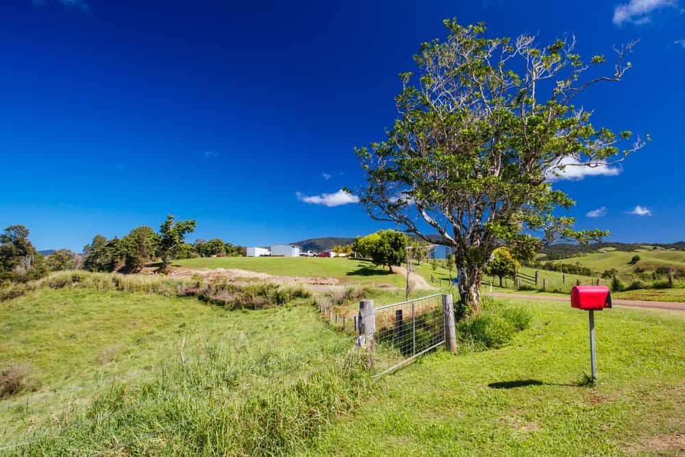 A Red Mailbox is in the Middle of a Grassy Field — Optimum Pest Services In Atherton, QLD