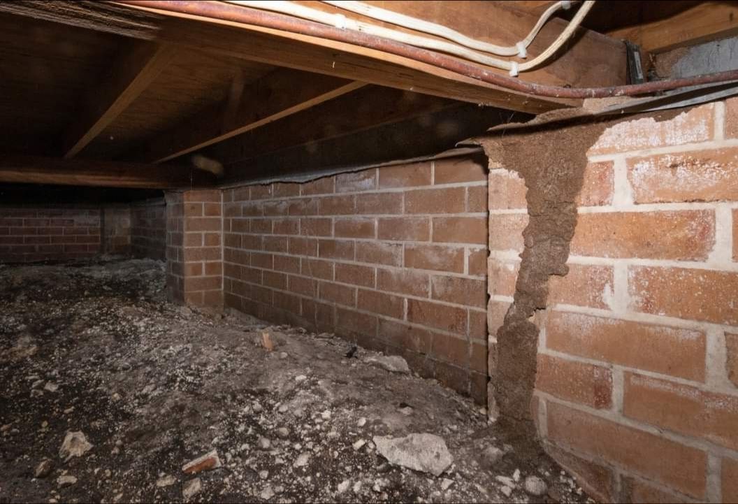 A Brick Wall in a Basement With a Hole in It — Optimum Pest Services In Edge Hill, QLD