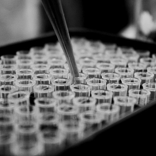 A black and white photo of a pipette in a tray of test tubes.