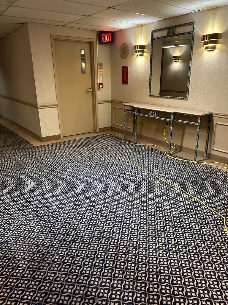 A hallway with a carpet and a red exit sign.