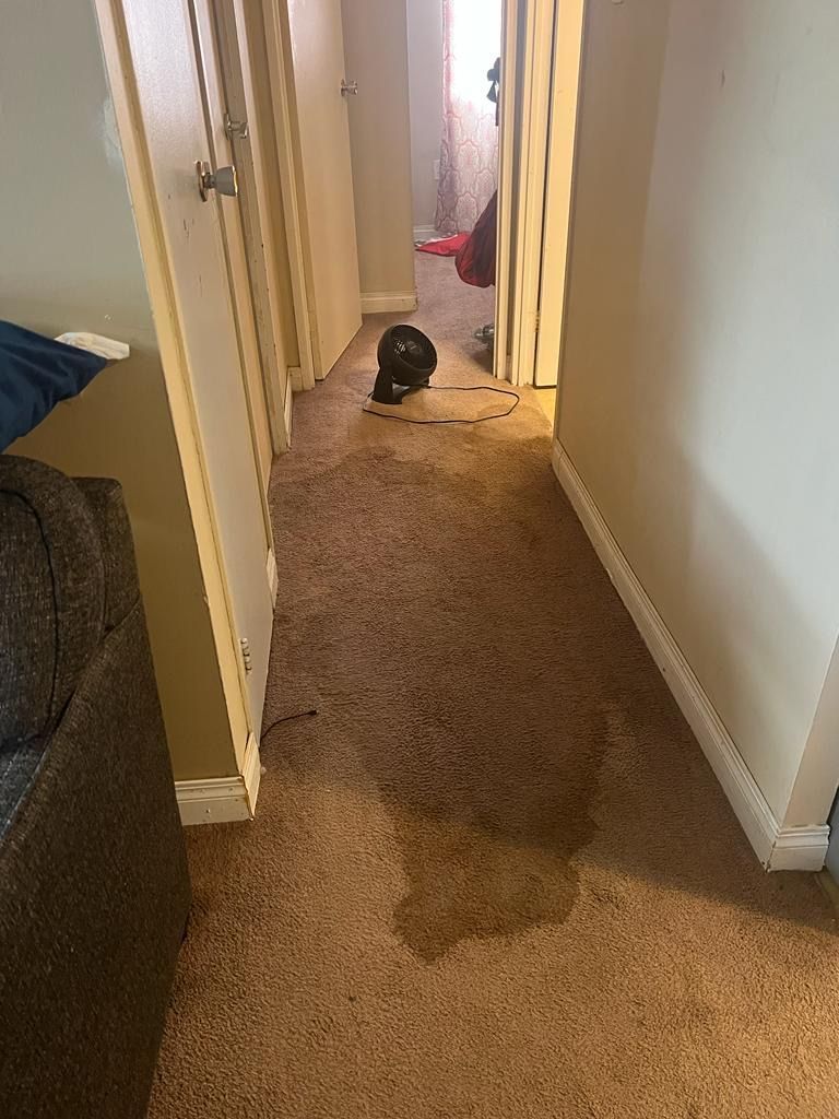 A dog is laying on the floor in a hallway next to a couch.