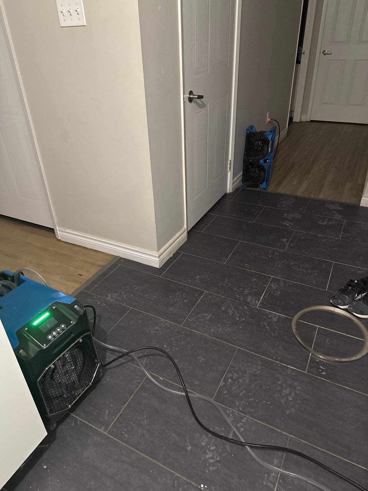 A fan is sitting on the floor in a room next to a door.