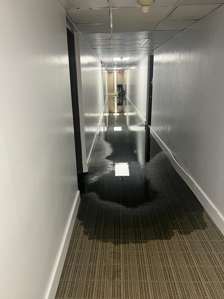 A hallway with a puddle of water on the floor.