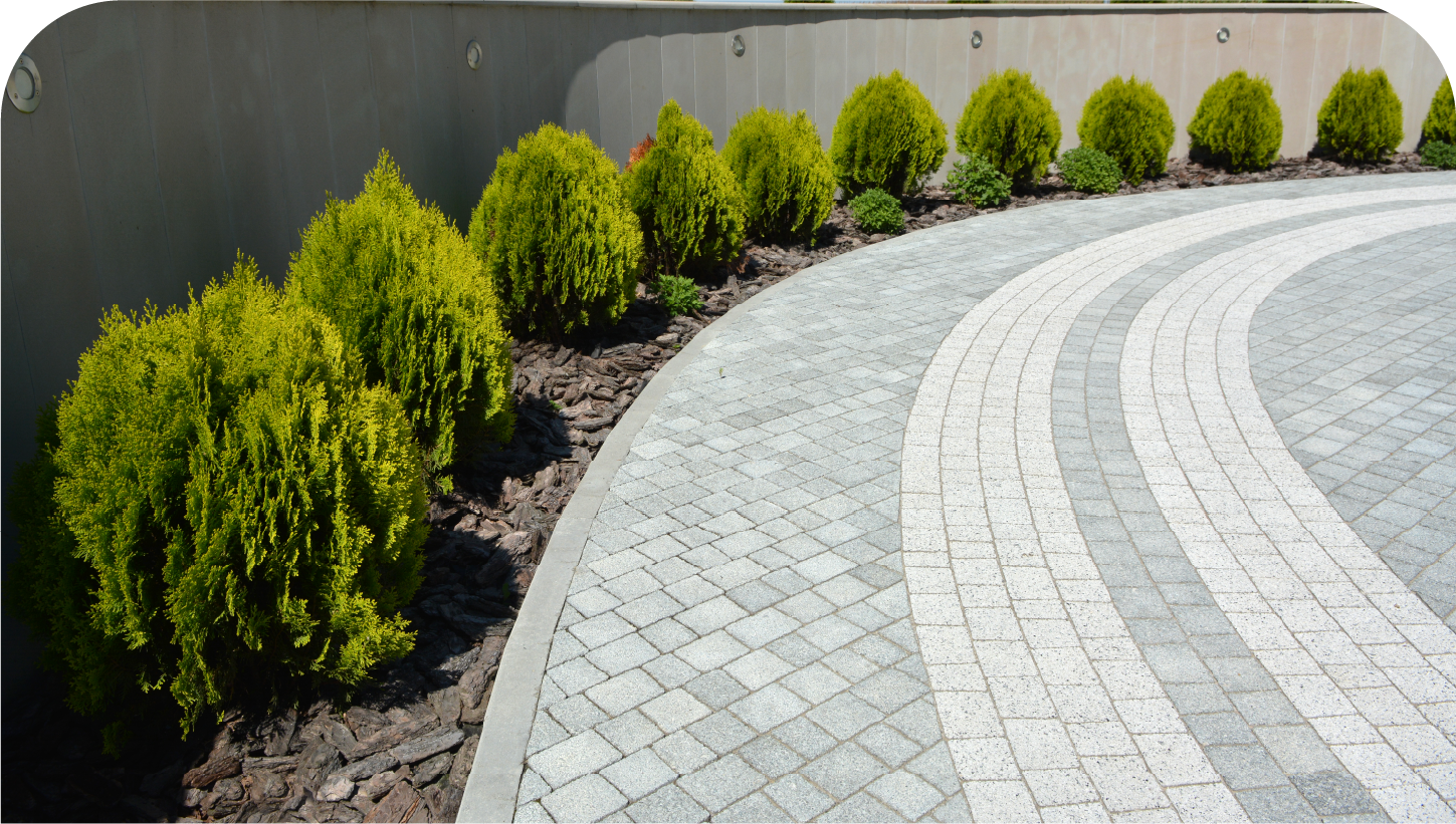 A brick walkway with a few bushes on the side