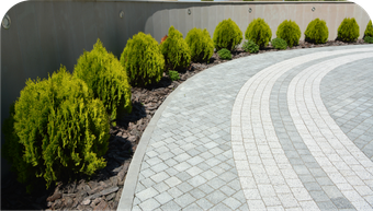 A brick walkway with a few bushes on the side