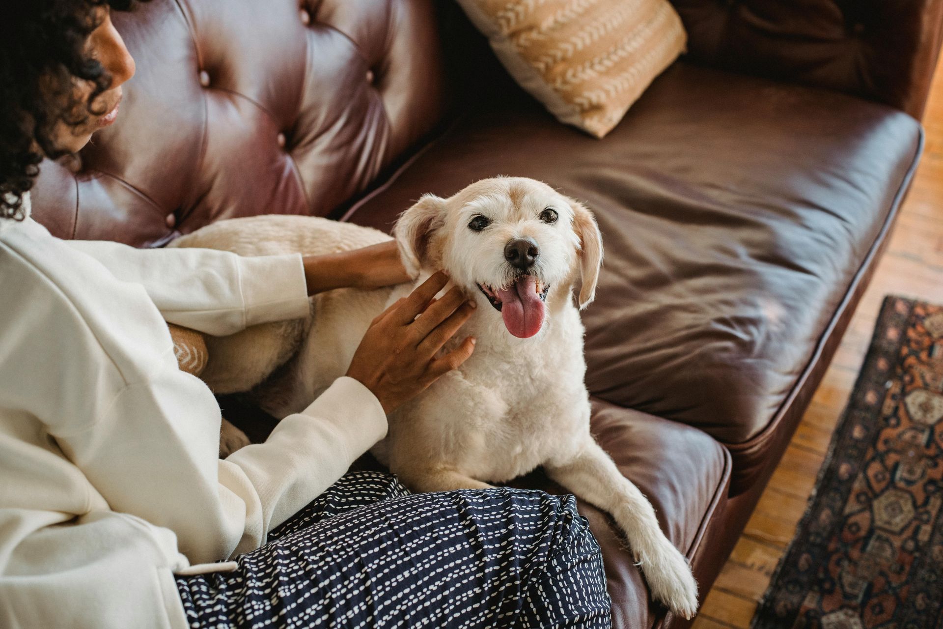 A woman is sitting on a couch petting a dog.