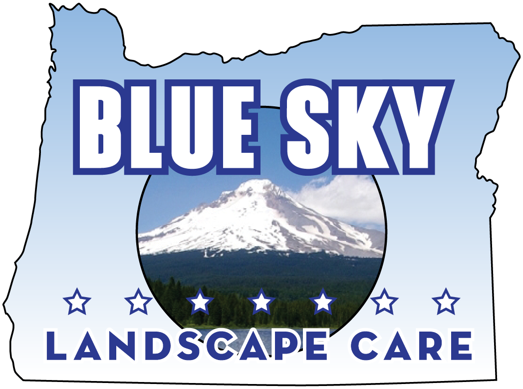 Blue Sky Landscape Care
