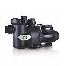 ZODIAC FLOPRO — Friendly Pool & Spa Care in Coconut Grove, NT 