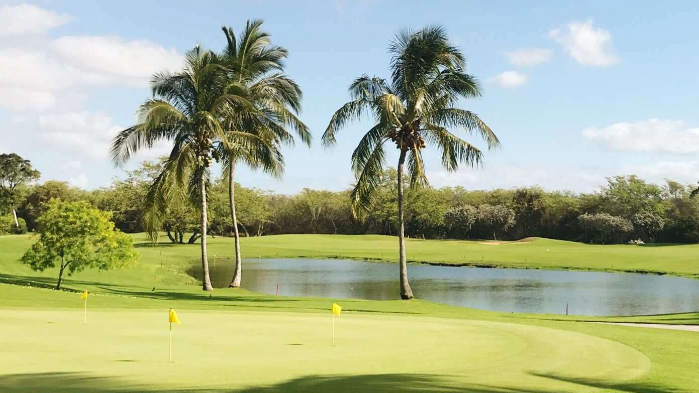 A golf course with palm trees and a pond in the middle.