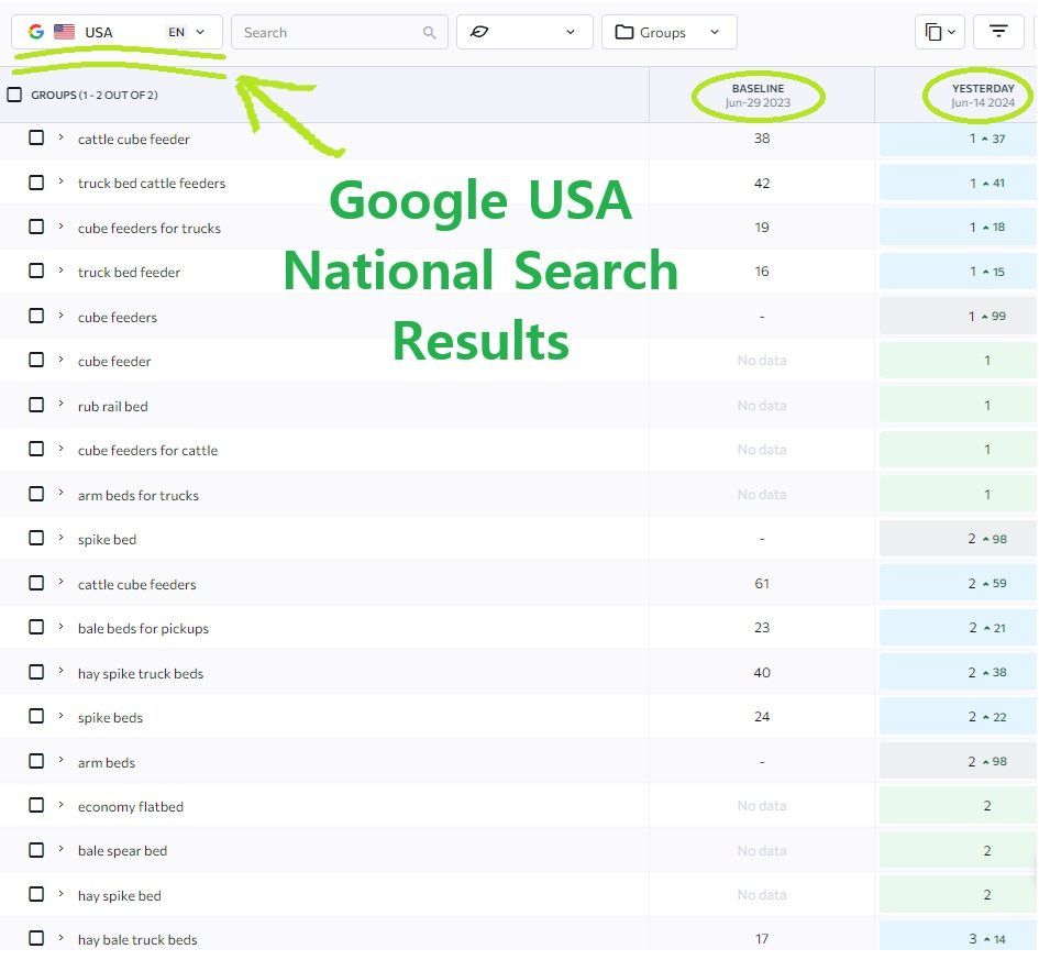 A screenshot of a google usa national SEO search results report