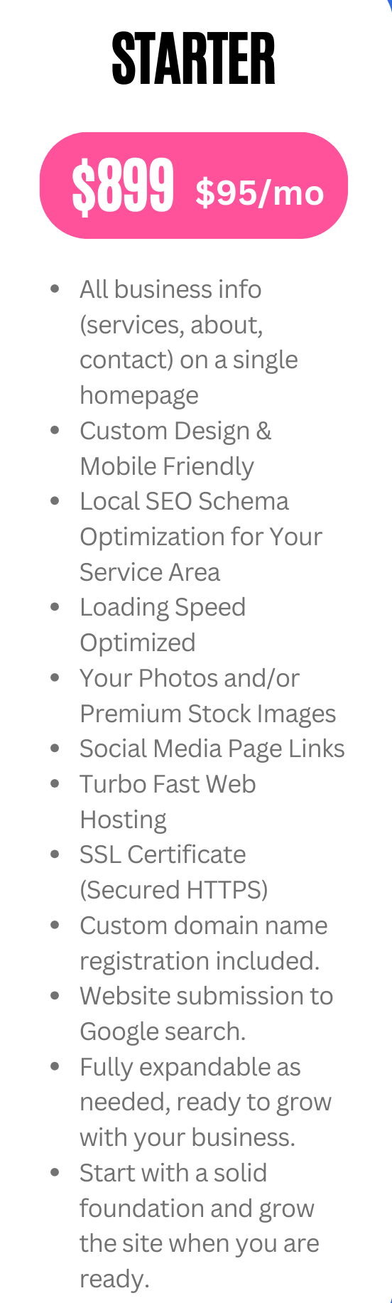 a screenshot of a website package plan that says starter for $ 899