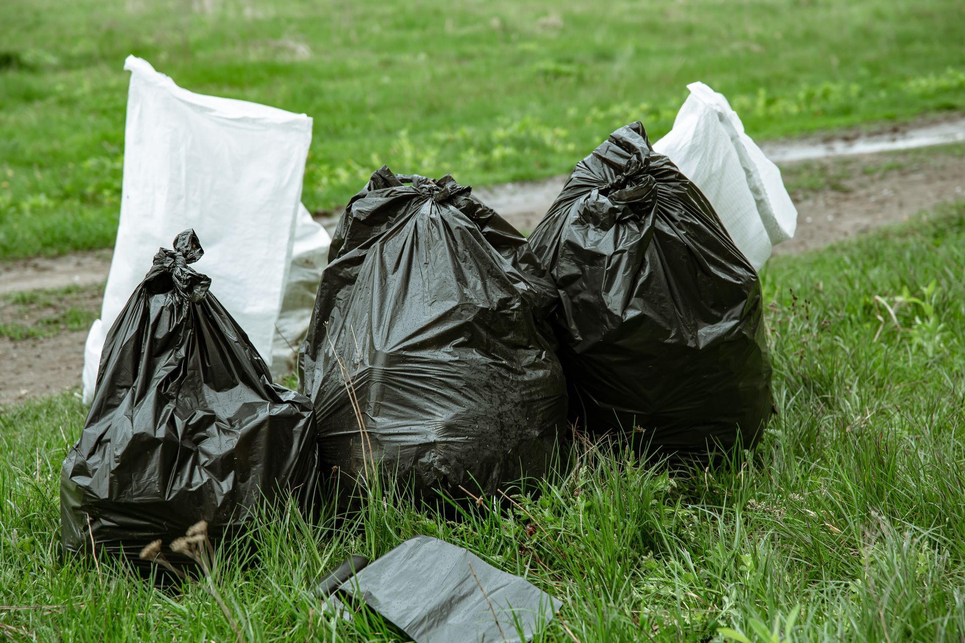 A pile of trash bags sitting on top of a lush green field.