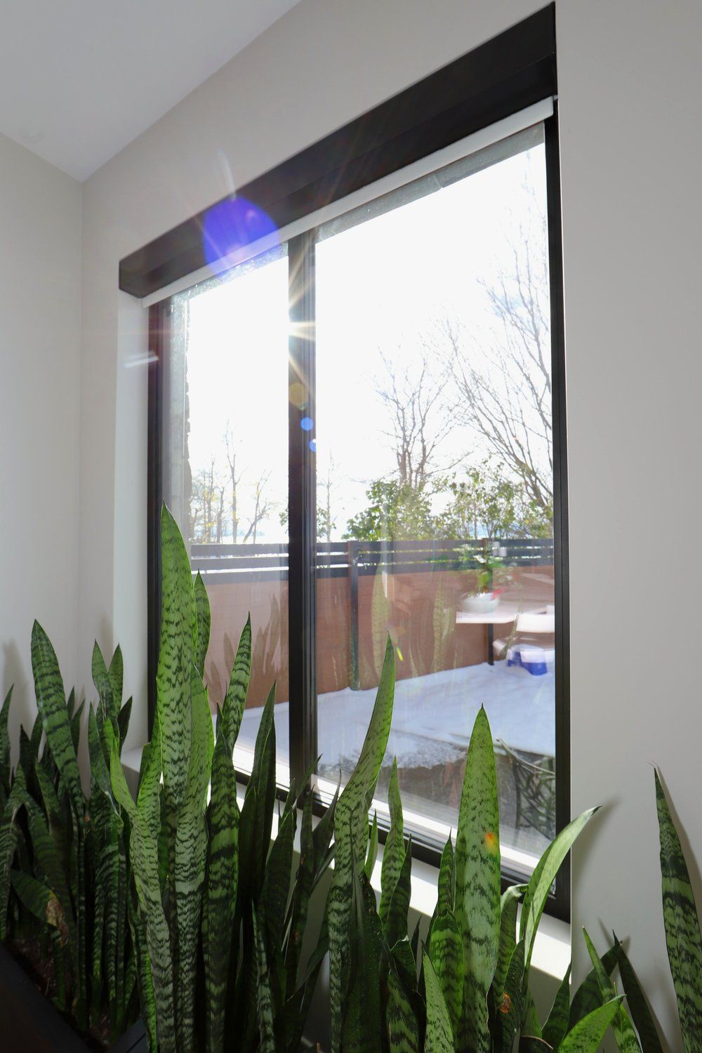 A room with a large window and plants in front of it.