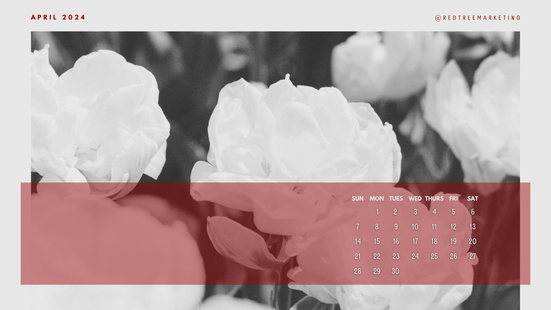 April 2024 Wallpaper