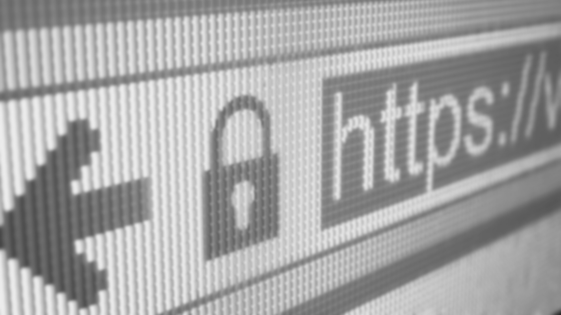 https website security ssl certificate