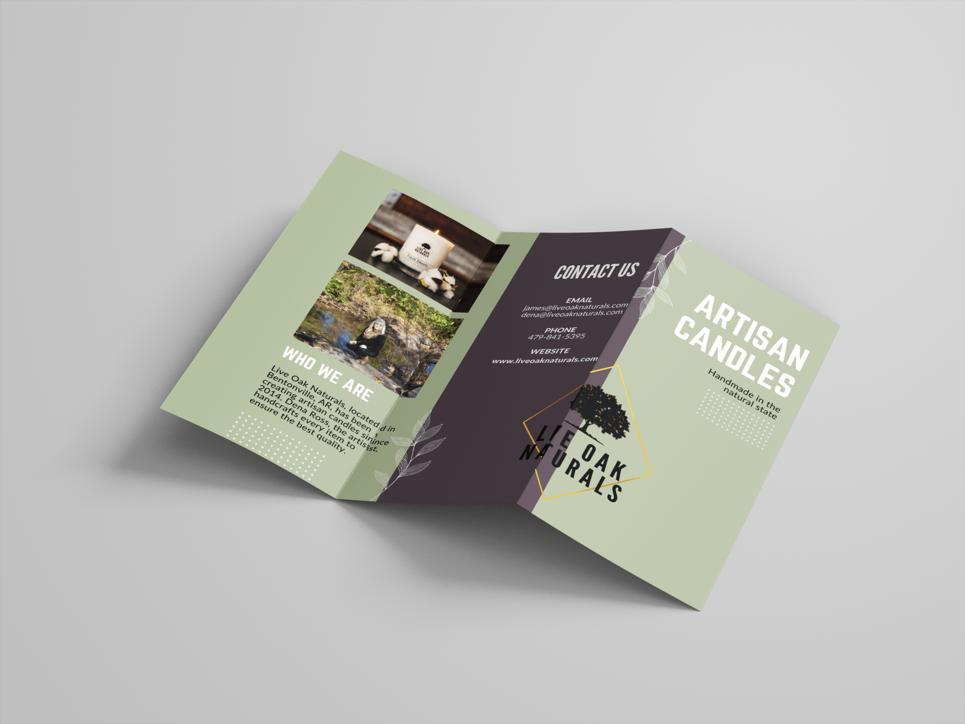 Brochure Creative for Live Oak Naturals