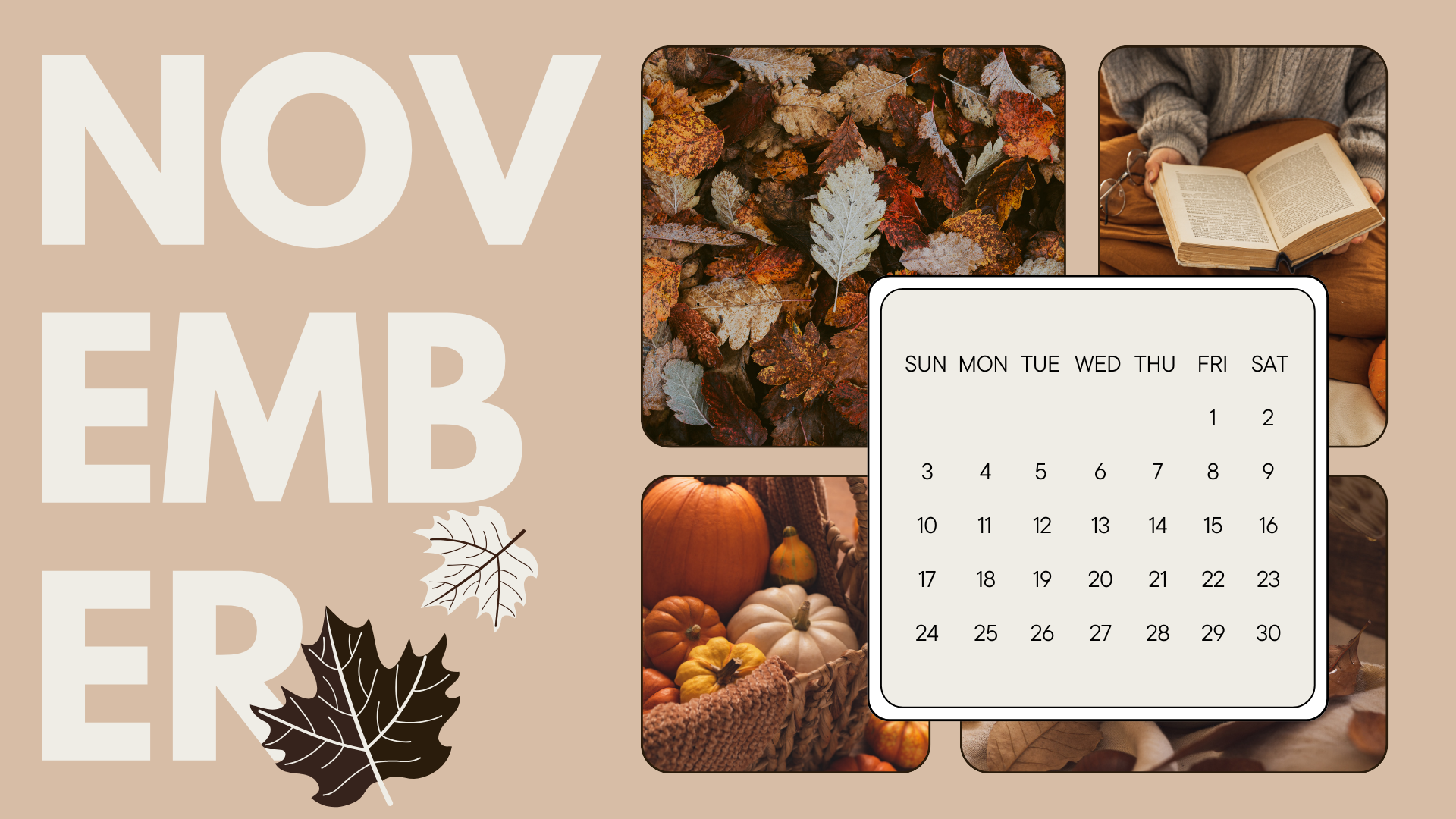 November 2024 Wallpaper
