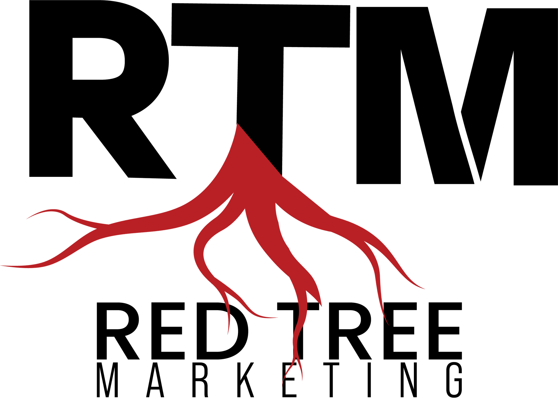 website developers near me